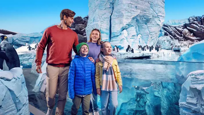 SeaWorld Abu Dhabi, ZEA (zdjęcie ze strony)