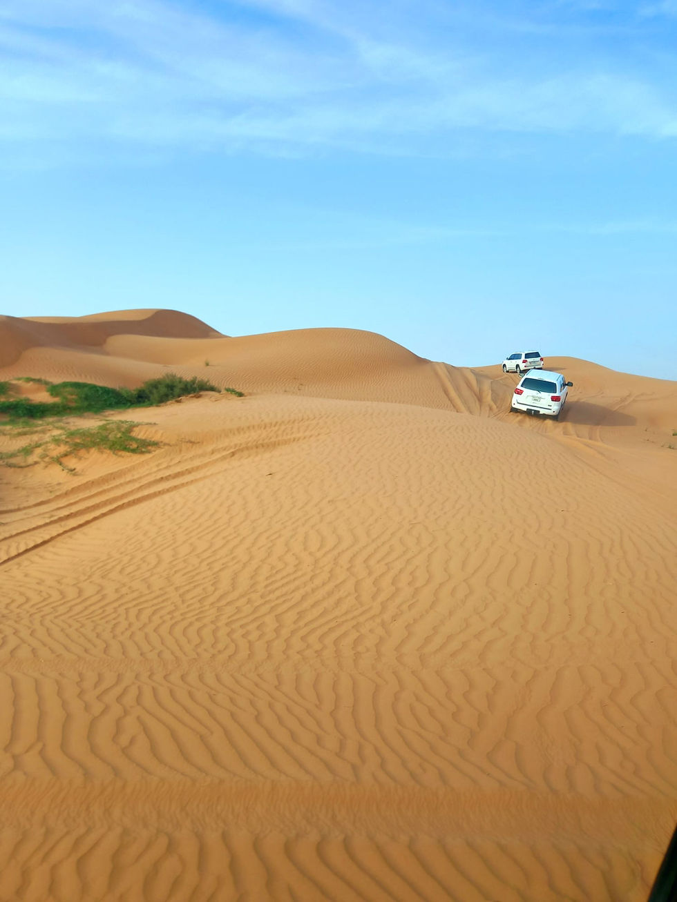 Dune Bashing