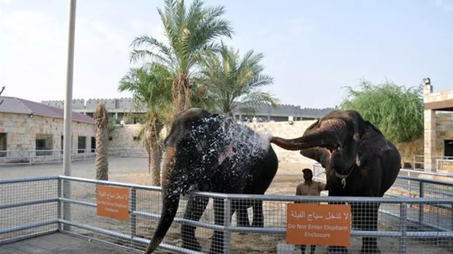 Emirates park Zoo, Abu Dhabi, ZEA (zdjęcia ze strony)