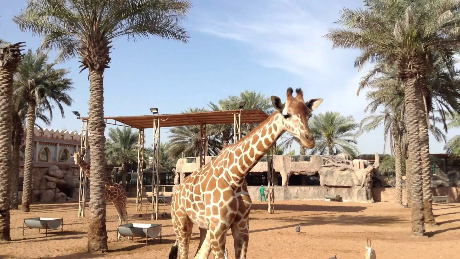 Emirates park Zoo, Abu Dhabi, ZEA (zdjęcia ze strony)