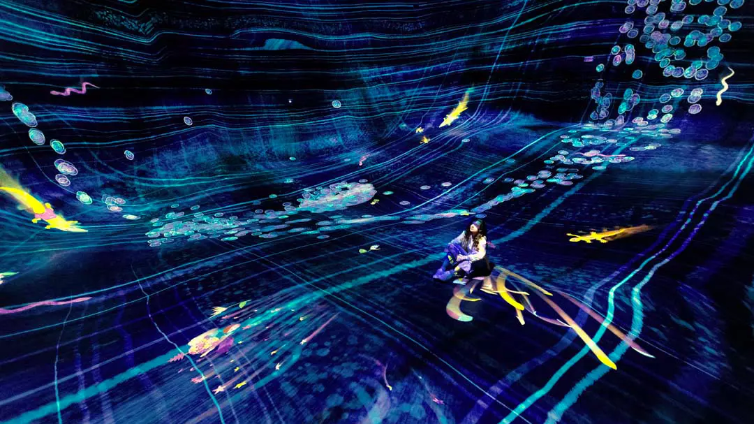 TeamLab Phenomena Abu Dhabi, ZEA (zdjęcie ze strony)
