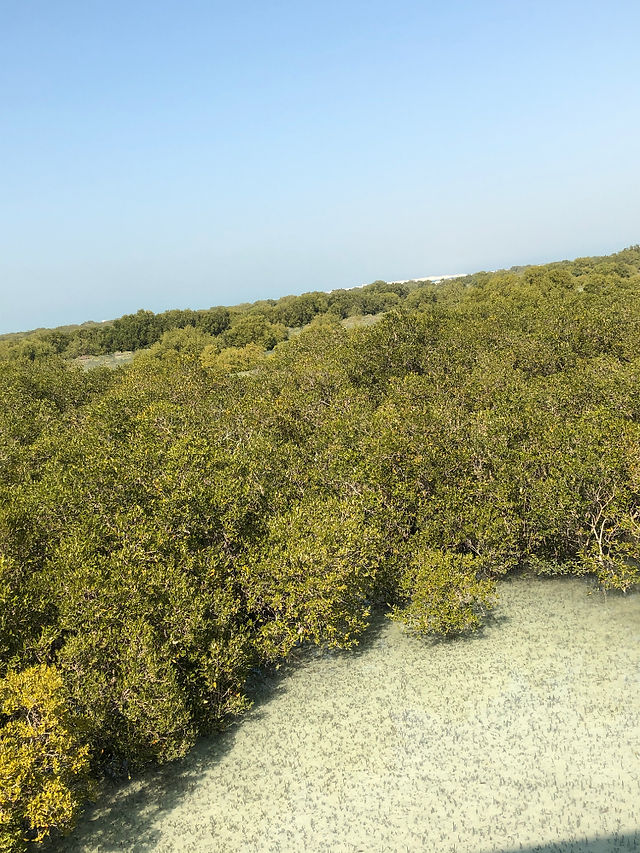 Park Namorzynowy Jubail, Abu Dhabi, ZEA