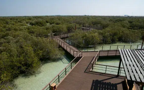 Park Namorzynowy Jubail, Abu Dhabi, ZEA (zdjęcie ze strony)