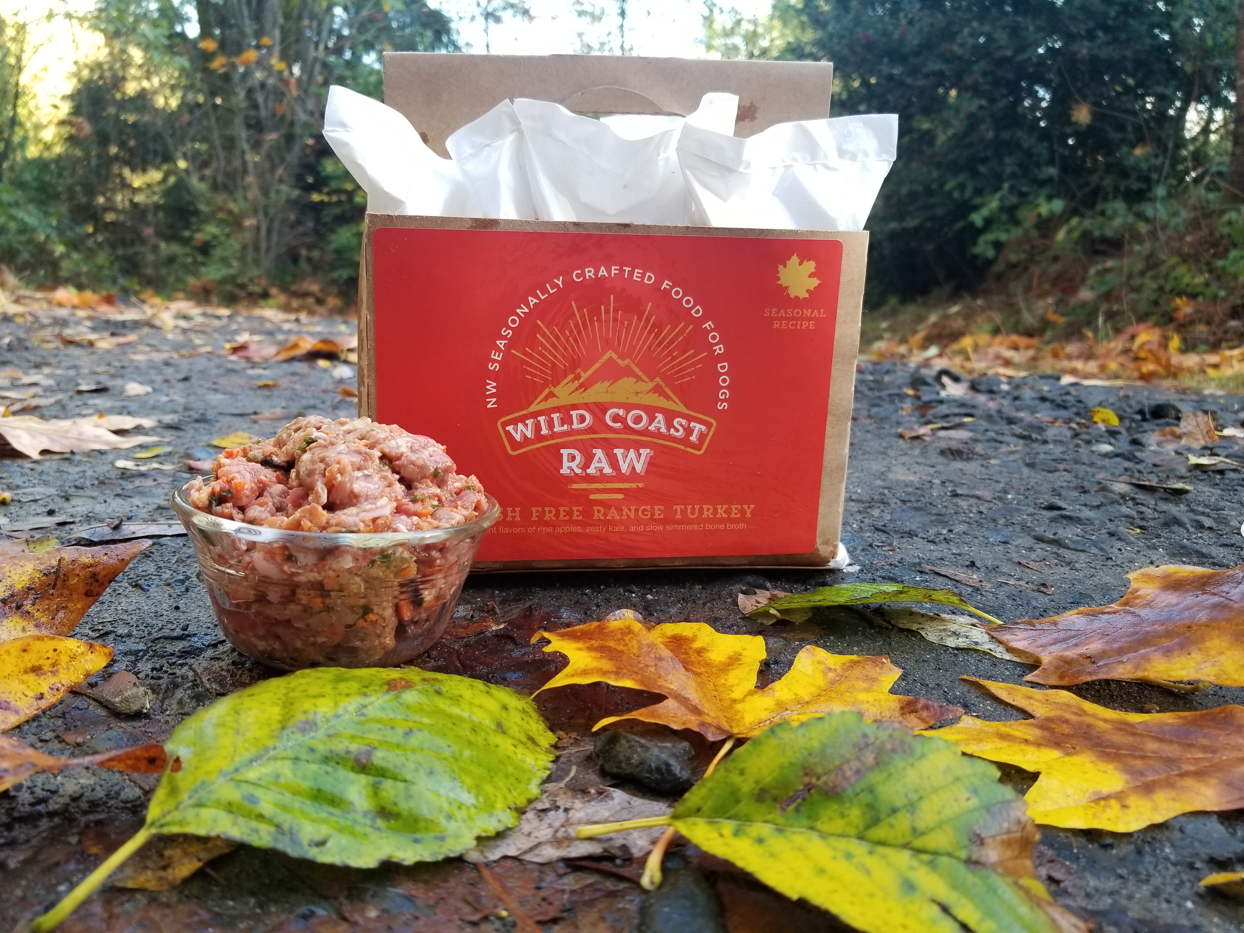 wild coast raw cat food