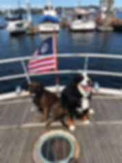 image2.jpeg