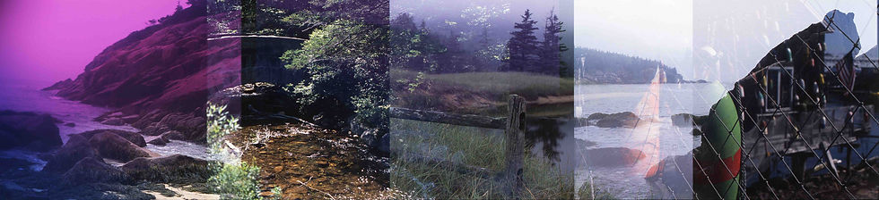 Acadiascape (Acadia National Park)