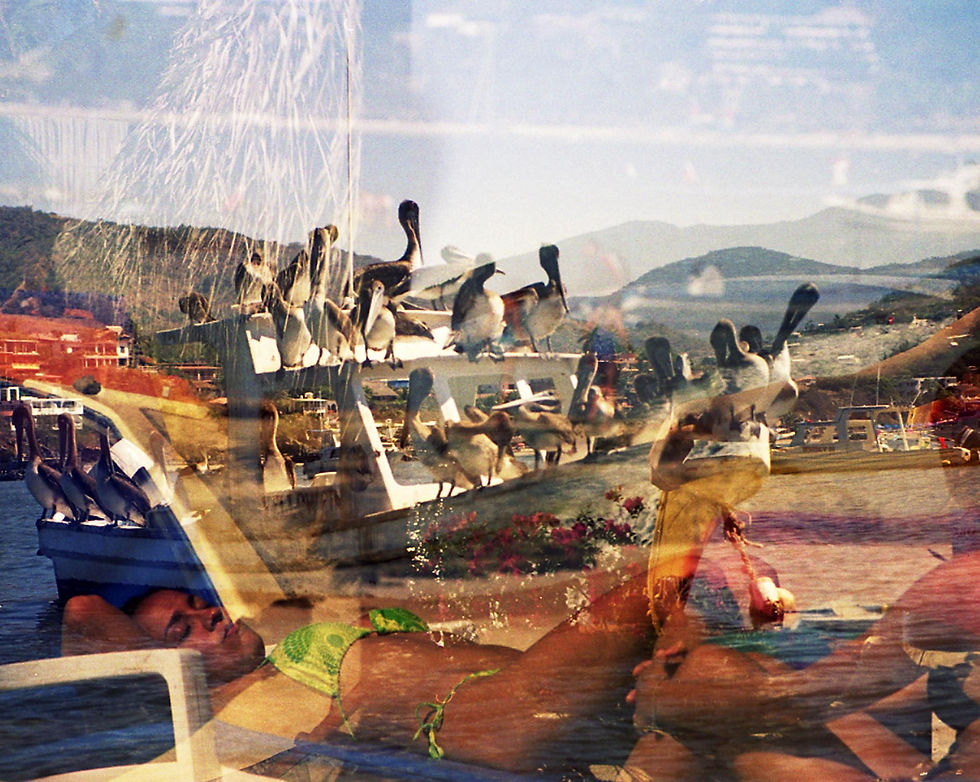 Sunbathing (Zihuatanejo)