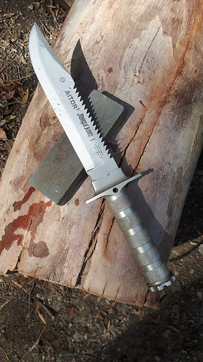 Aitor Jungle King 1a