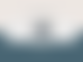 February 11 Newsletter