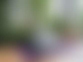 Thrive Together: Building a Successful Online Yoga Business