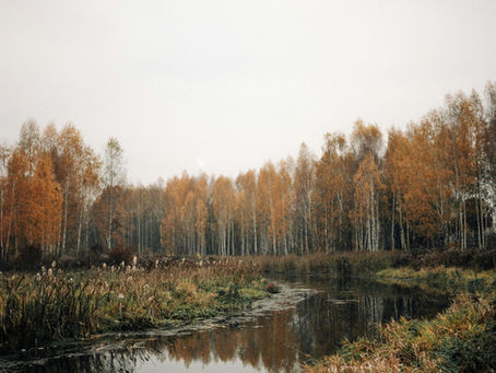 Embracing the Fall Season, Autumn Checklist