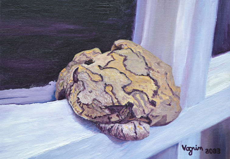 Toad on the Window.jpg