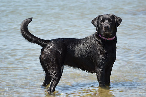 Penelope1-waterpose.jpg