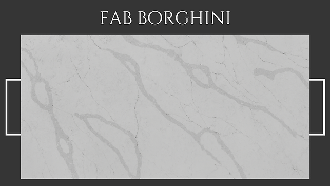 Fab BORGHINI.png