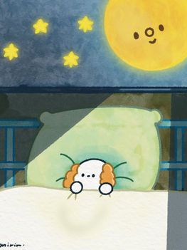 眠れない時の月明かり