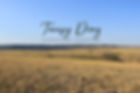 Landscapes with logo.jpg