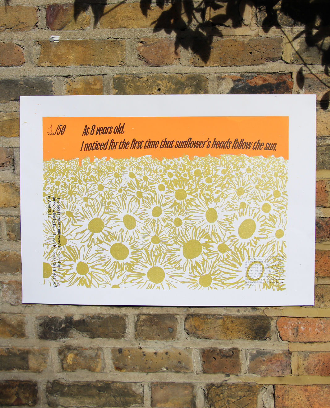 "Sunflowers" - 50x70cm ink on paper