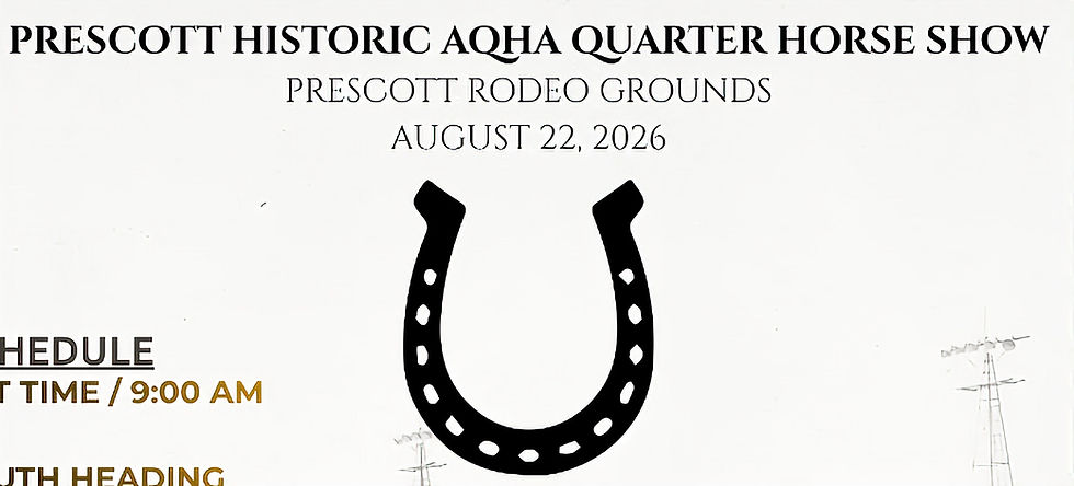 American Quarter Horse Show