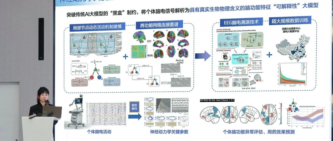 BCI Conference 2025: Neurodynamics and EEG research