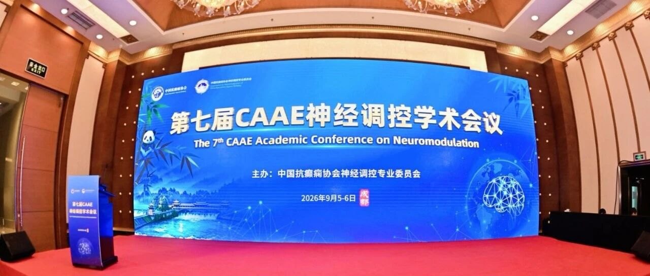 CAAE 2026: Brain data and SEEG visualization