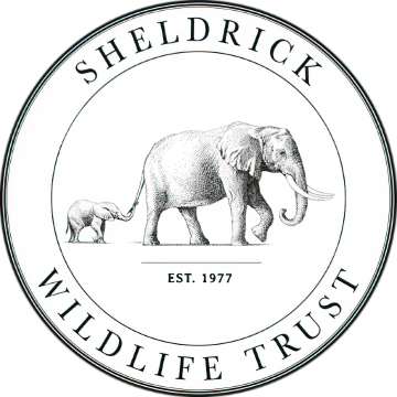 logo wildlife trust vivre et agir cause animale