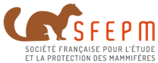 LOGO SFEPM.png