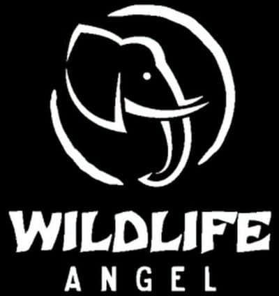 logo wildlife angel