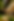 AnNhien Resort-38.png