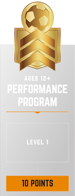 Performance Program.png