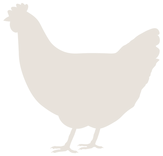 Chicken2_edited.png