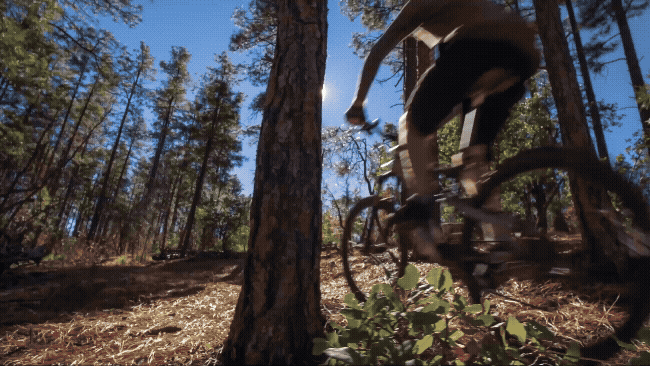 Prescott Biz Unusual_without logo.gif