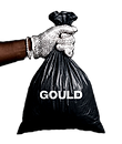 GOULD GLOVE_edited_edited.png