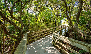 DYLAN RAY PHOTO MEMORIAL PARK BEACH ACCESS.jpg