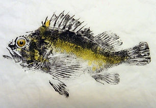 yellow fish.jpg