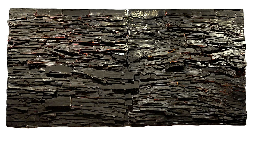 Vestiges of Veracity, diptych by Azadeh Hussaini, newspapers and acrylic