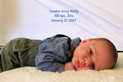Lamb-Bixby Newborn