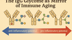Glycan Biology and Early Disease Prediction: The Next Chapter