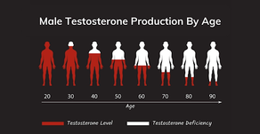 Is Your Testosterone High Enough to Thrive?