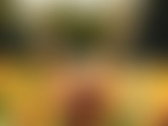 Accessing the Power of Gratitude