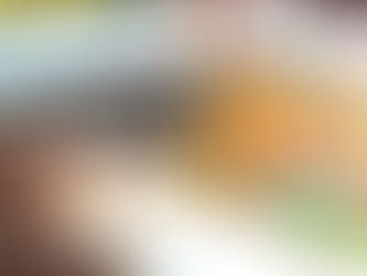 O Escândalo das Fábricas de Artigos e Suas Consequências Para a Ciência