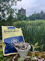 Ireland welcomes knckzoat™