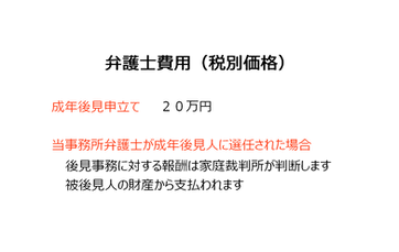 弁護士費用(税別価格)成年後見.png