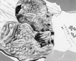 Taiyaki