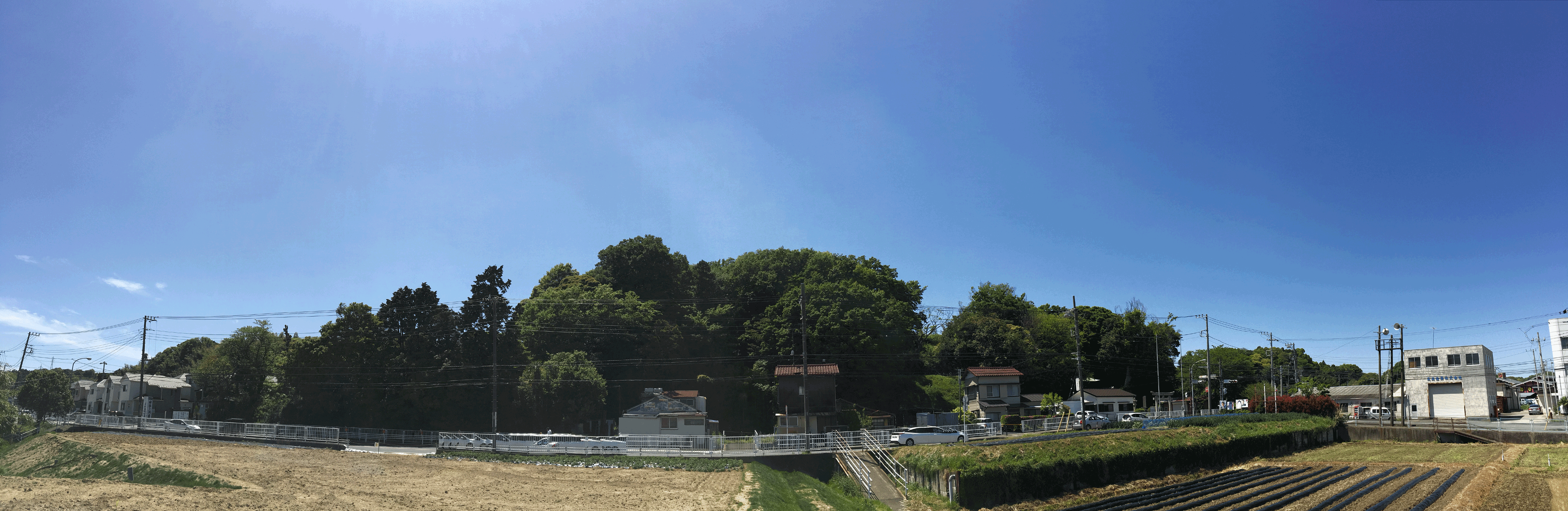 170505田谷山-039-春状況-Low.gif