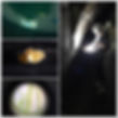 2019-08-03第3回洞内生物調査
