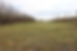 Image-empty-state.png