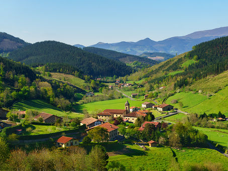 Ayudas contra la despoblación y reto demográfico. 