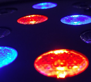 Disco Lights_edited_edited.jpg