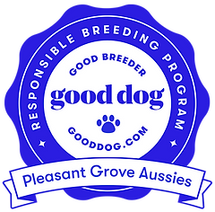 pleasant-grove-aussies-badge