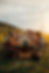a29356b3ebc6b0dfa745a599723240ce.jpg